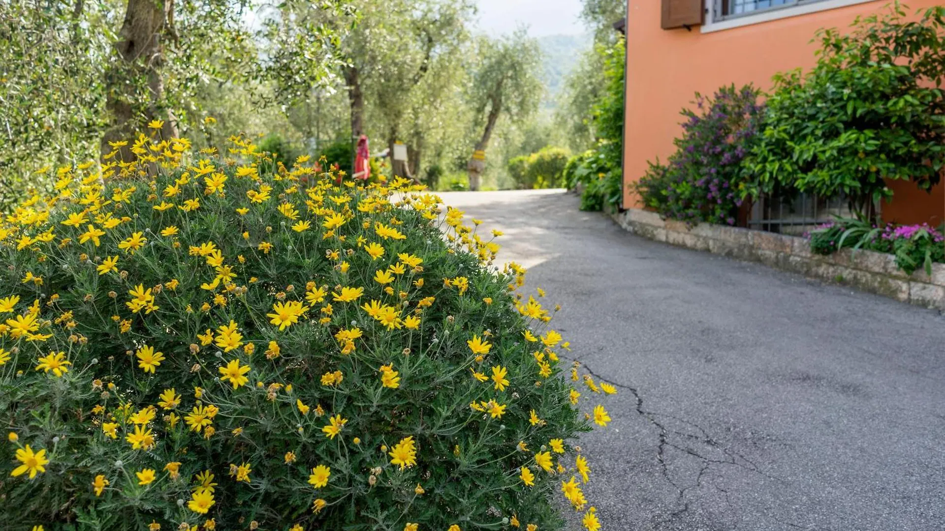 Monja Camping Village 0*, Brenzone sul Garda